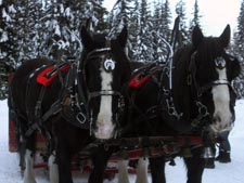 Big White Ski Resort, British Columbia Canada