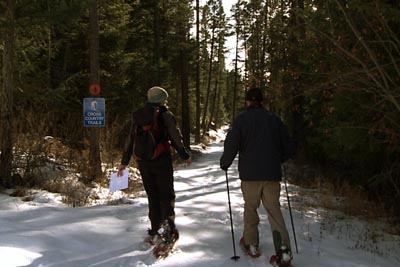 Snowshoeing at Fairmont Hot Springs Resort, BC Canada