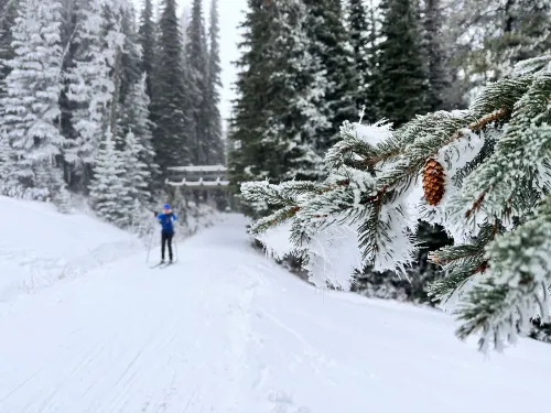 SilverStar nordic Jim Barr Nov 2023