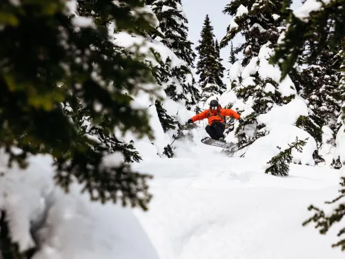 Skiing glades Powder King BC Marty Clemens