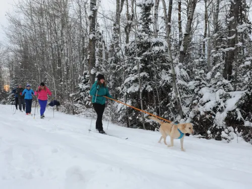 Lac La Biche Nordic Skiing 