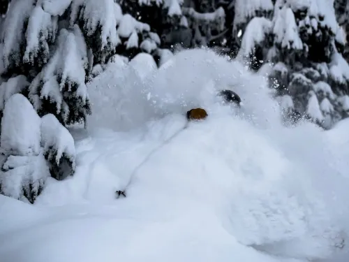 Snow in Western Canada