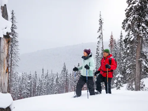 Wells BC at the summit Ember Harper SnowSeekers Ember Harper