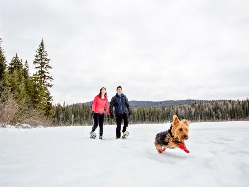 Hallis lake quesnel