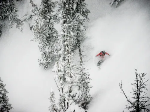 Kicking Horse Mountain Resort