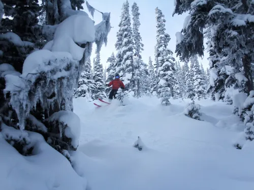 Hudson Bay Mountain 