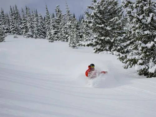 A skier goes down a hill throwing up snow in their path