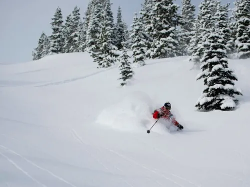 Big powder shot