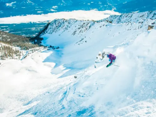 Kicking Horse powder