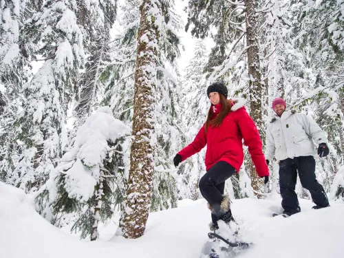 Snowshoe whistler