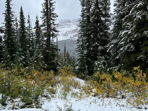 SNow sept 19 icefields parkway Jeremy Derksen SnowSeekers