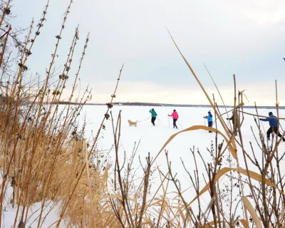 A group of people nordic ski with their dog in Lac La Biche