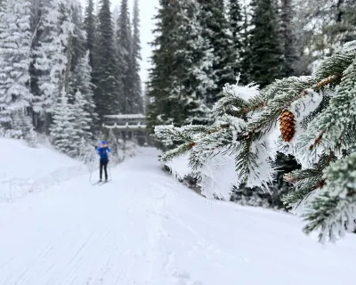 SilverStar nordic Jim Barr Nov 2023