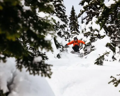 Skiing glades Powder King BC Marty Clemens