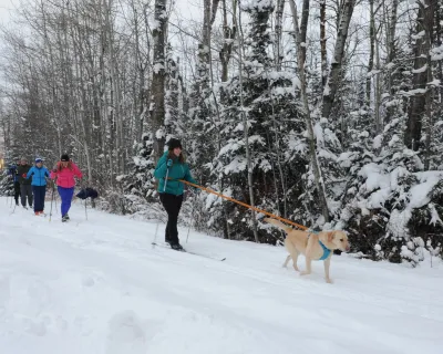 Lac La Biche Nordic Skiing 