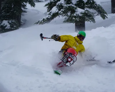 Sit skier skiing powder