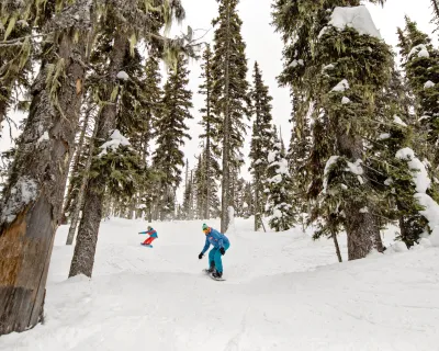 Troll Ski Resort tree skiing snowboarders