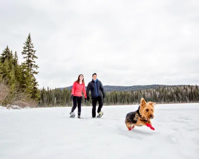 Hallis lake quesnel