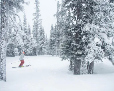 Hudson Bay Mountain