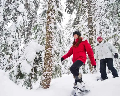 Snowshoe whistler