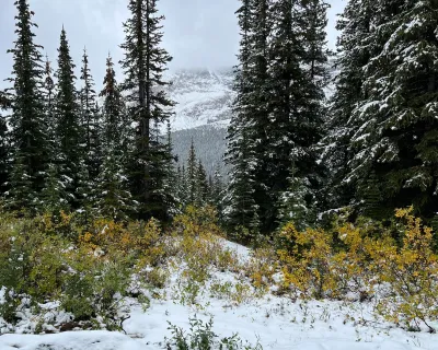 SNow sept 19 icefields parkway Jeremy Derksen SnowSeekers