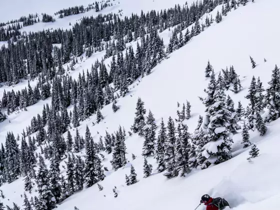 Smithers backcountry skiing