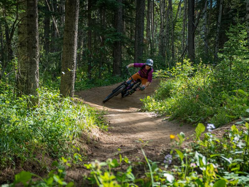 lake louise downhill mountain biking