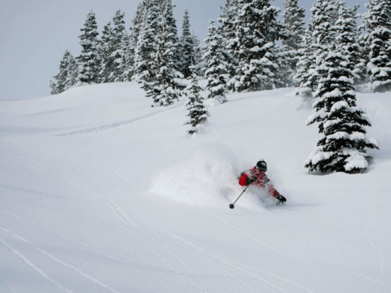 Castle Mountain | SnowSeekers