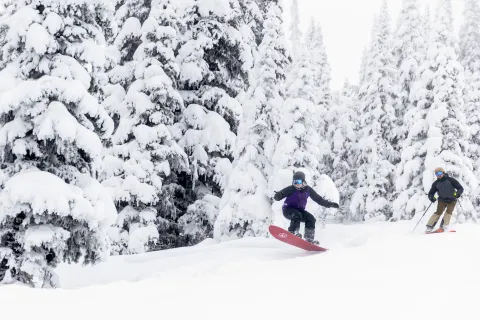 Skier and snowboarder powder skiing at Hudson Bay Mountain in Smithers