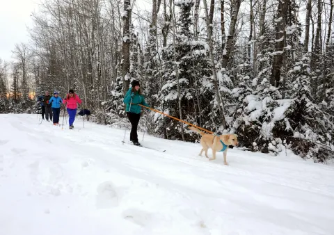 Winston Churchill Provincial Park Nordic Cross-Country skiing Lac La Biche