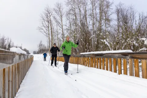 Nordic skiing Young's Point Provincial Park AB Paul Lavoie