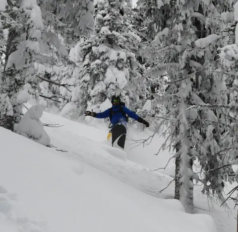 Shaun Hutt snowboarding in the Coquihalla backcountry