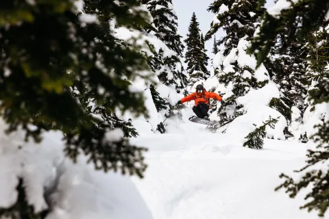 Skiing glades Powder King BC Marty Clemens