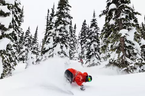 Powder King Mountain Resort | SnowSeekers