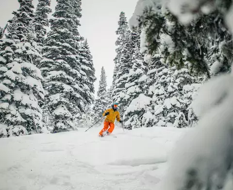 Powderking BC Tree Ski Ember Harper Snowseekers 