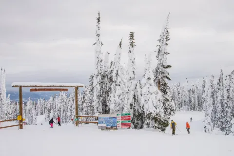 SilverStar mountain skier Madeline Williams