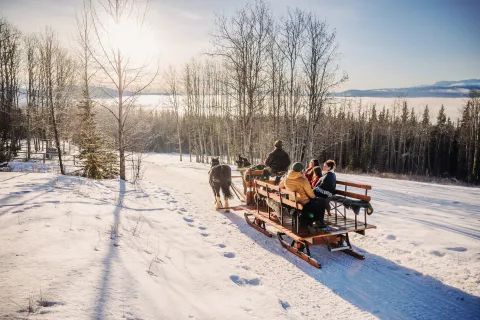 Sunny day for a sleigh ride with B&T Sleigh Rides in Smithers BC