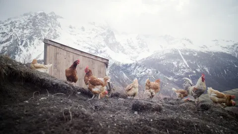 skiers homesteading in La Grave France