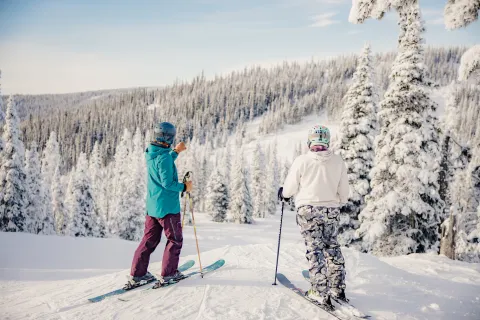 Skiing Troll Resort northern BC