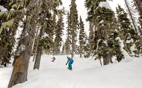 Troll Ski Resort tree skiing snowboarders