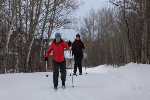 Two cross country skiers near Vermillion