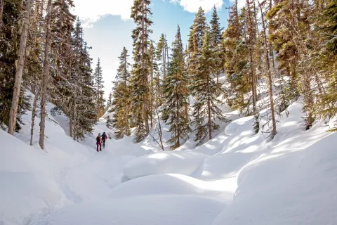 Snowshoeing Devil's Canyon Wells BC Bonnie Grenon