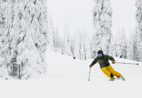 Silver Star Mountain