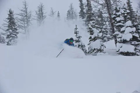 Powder at Castle Mountain