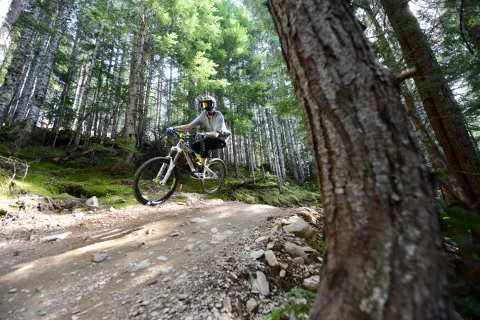 Biking in Whistler