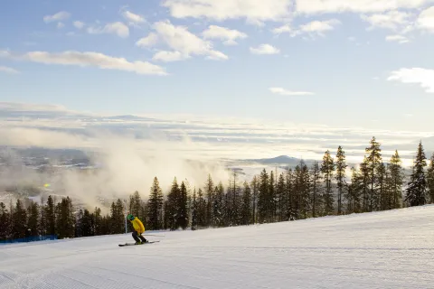 Kimberley Alpine Resort