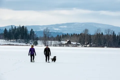 Quesnel snowshoe