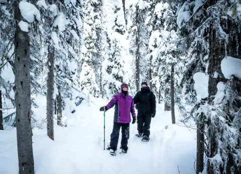 Big White snowshoeing