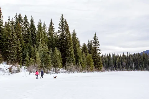 Hallis lake quesnel