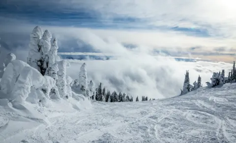 Hill with snow ghosts